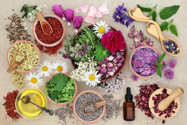 قیمت خرید عرق گیاهی چهل گیاه عمده به صرفه و ارزان